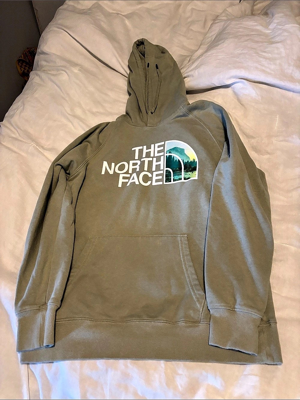 The North Face Women's Half Dome Pullover Hoodie Green Medium